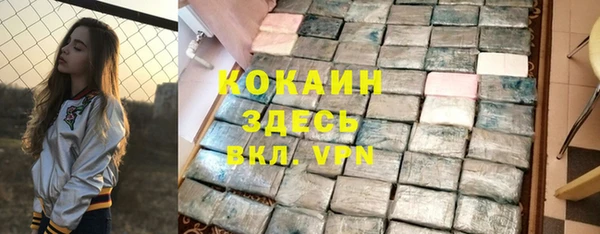 соль ск Новодвинск