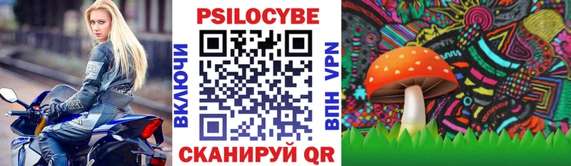 Галлюциногенные грибы MAGIC MUSHROOMS  где продают наркотики  Высоковск 